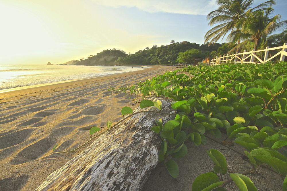 Marsella Beach Front Bed and Breakfast San Juan del Sur Exteriör bild